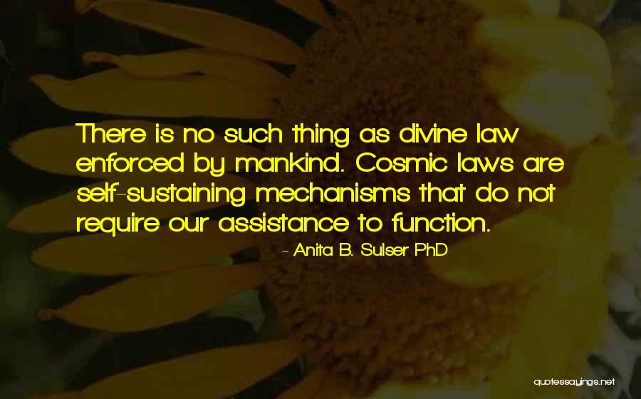 Doing A Phd Quotes By Anita B. Sulser PhD Doing A Phd Quotes By Anita B. Sulser PhD