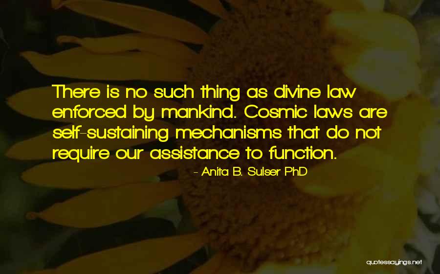 Doing A Phd Quotes By Anita B. Sulser PhD