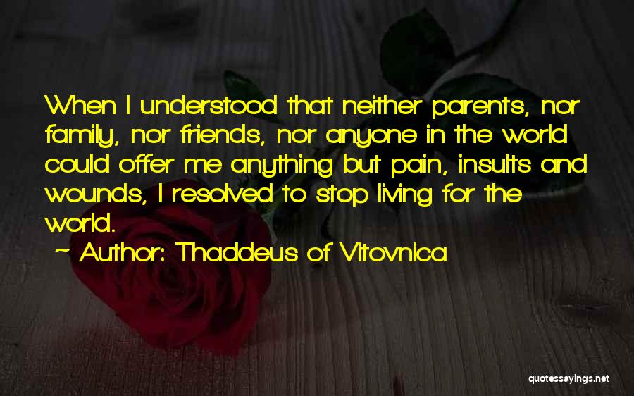 Doing Anything For Your Friends Quotes By Thaddeus Of Vitovnica