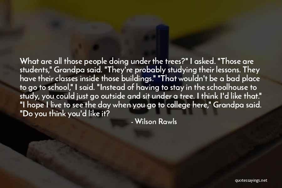 Doing Bad In School Quotes By Wilson Rawls