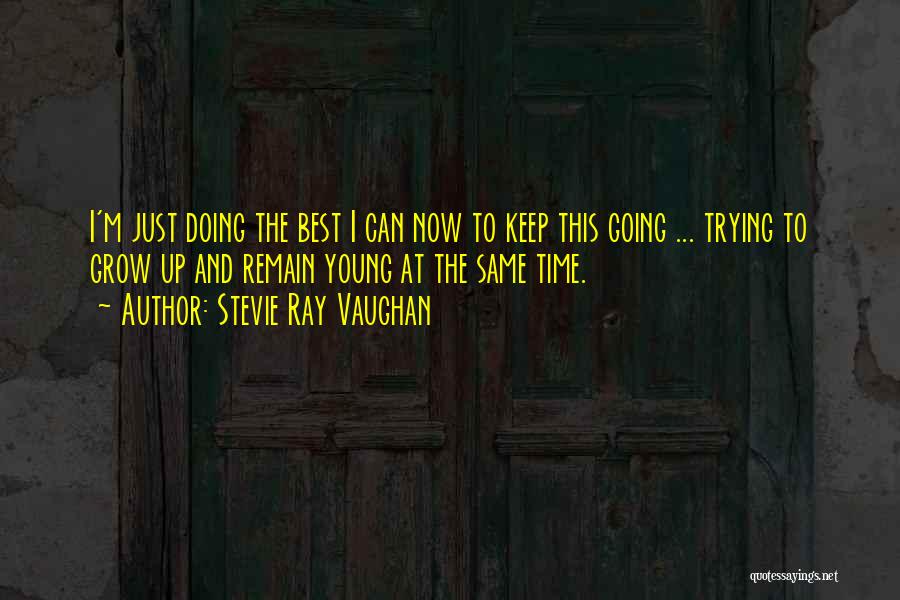 Doing Best Quotes By Stevie Ray Vaughan