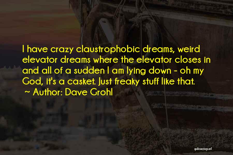 Doing Crazy Stuff Quotes By Dave Grohl