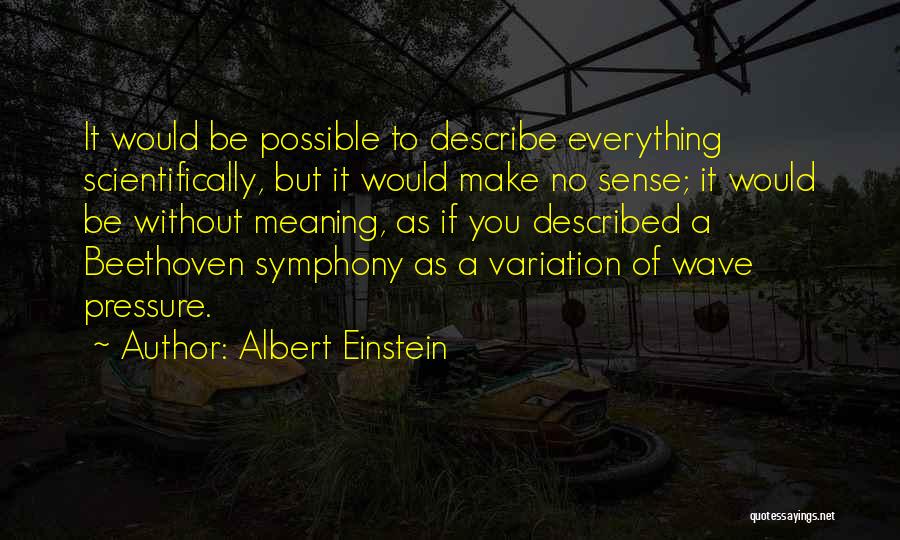 Doing Everything For Someone Quotes By Albert Einstein