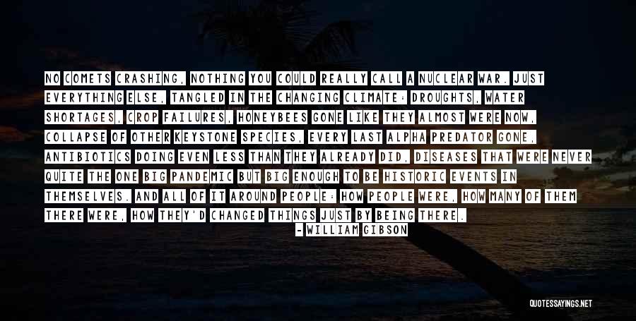 Doing Everything Quotes By William Gibson Doing Everything Quotes By William Gibson
