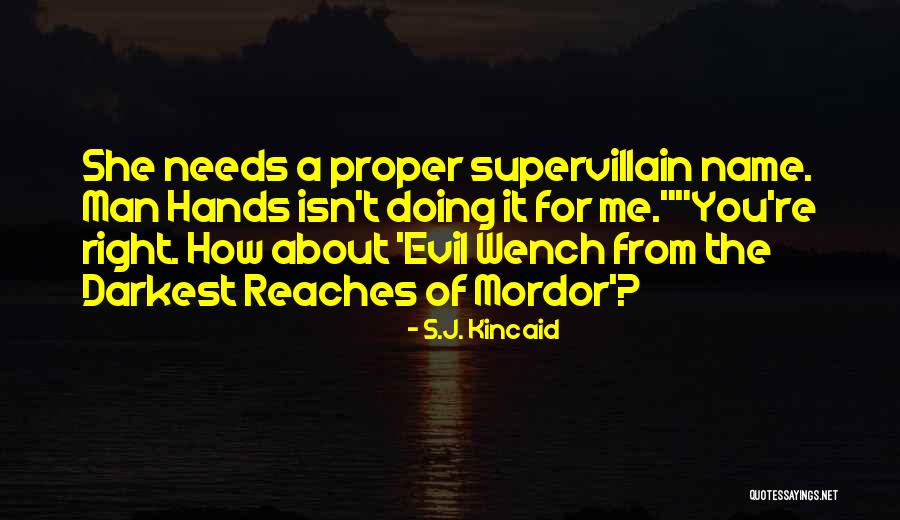 Doing Evil Quotes By S.J. Kincaid Doing Evil Quotes By S.J. Kincaid