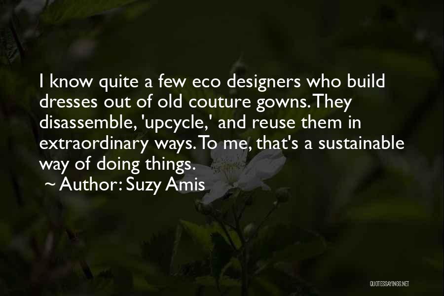 Doing Extraordinary Things Quotes By Suzy Amis