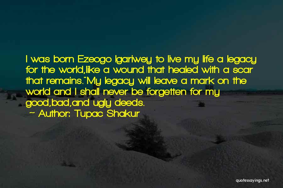 Doing Good Deeds For Others Quotes By Tupac Shakur