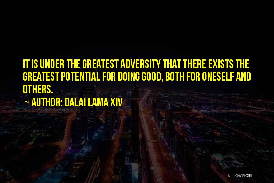 Doing Good For Others Quotes By Dalai Lama XIV