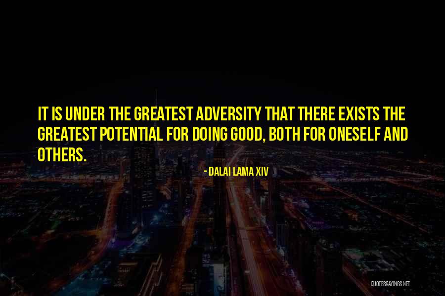 Doing Good For Others Quotes By Dalai Lama XIV Doing Good For Others Quotes By Dalai Lama XIV