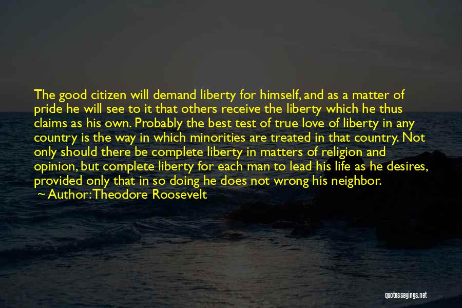 Doing Good For Others Quotes By Theodore Roosevelt