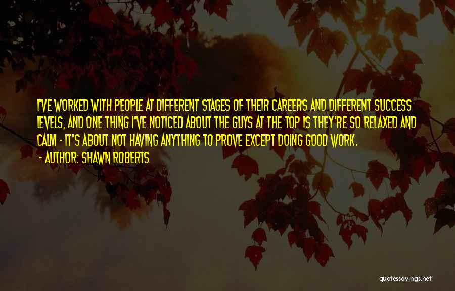 Doing Good Work Quotes By Shawn Roberts