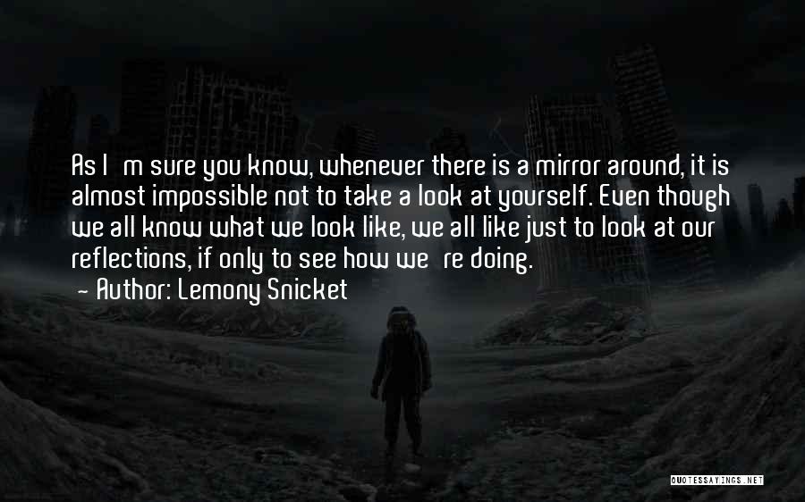 Doing It All Yourself Quotes By Lemony Snicket