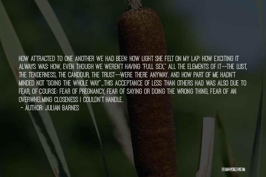 Doing It Anyway Quotes By Julian Barnes