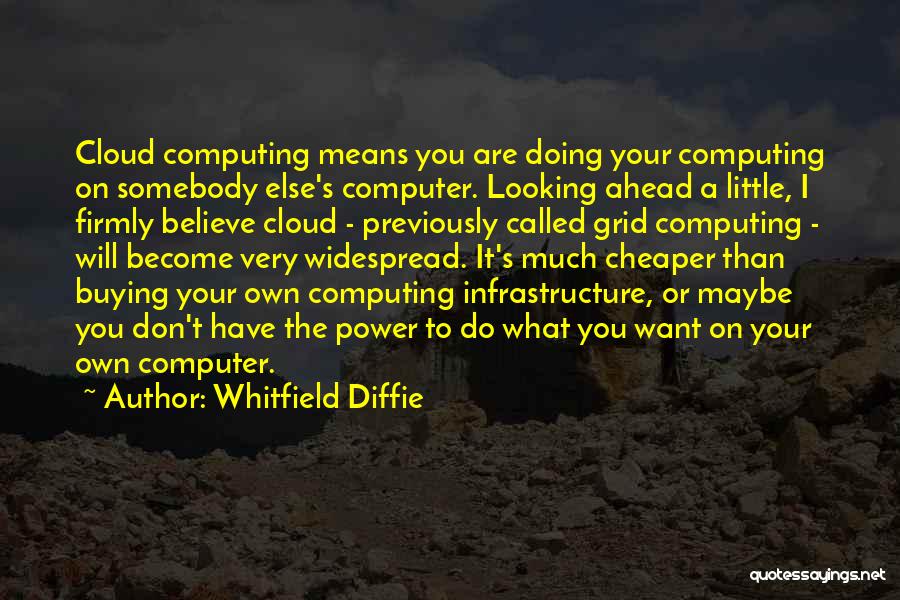 Doing It On Your Own Quotes By Whitfield Diffie