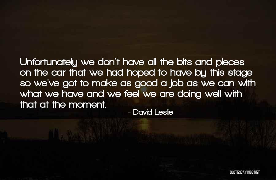 Doing Job Well Quotes By David Leslie