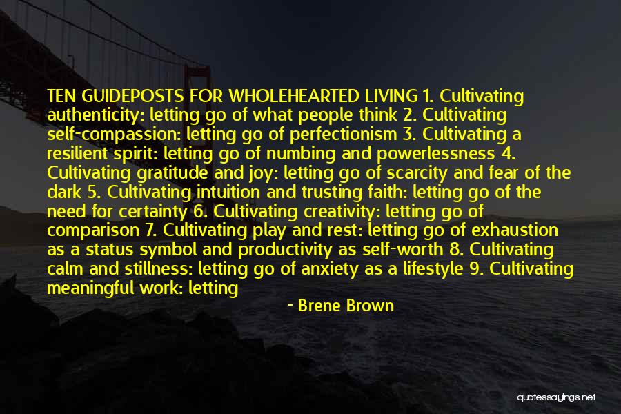 Doing Meaningful Things Quotes By Brene Brown