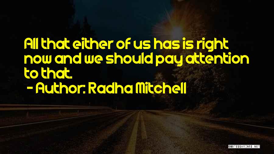 Doing Meaningful Things Quotes By Radha Mitchell