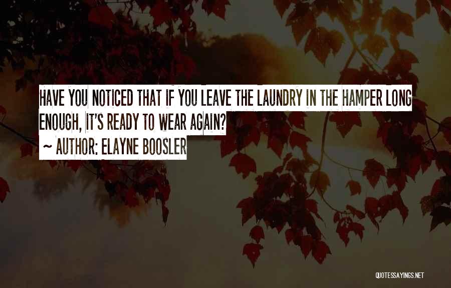 Doing My Laundry Quotes By Elayne Boosler