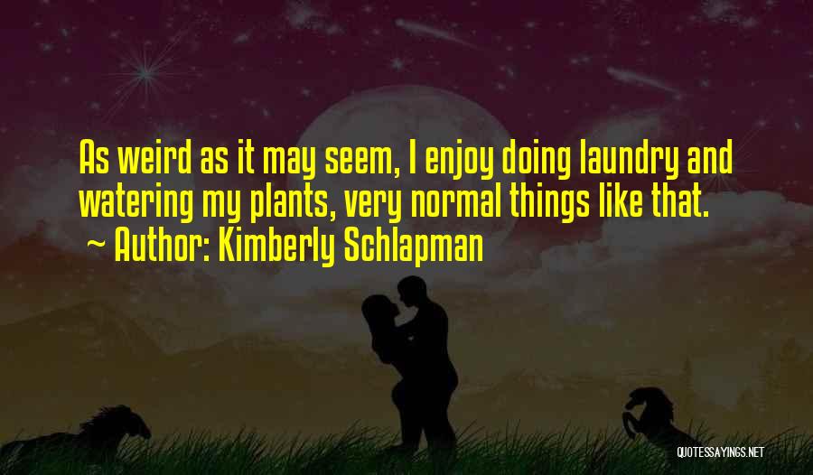 Doing My Laundry Quotes By Kimberly Schlapman