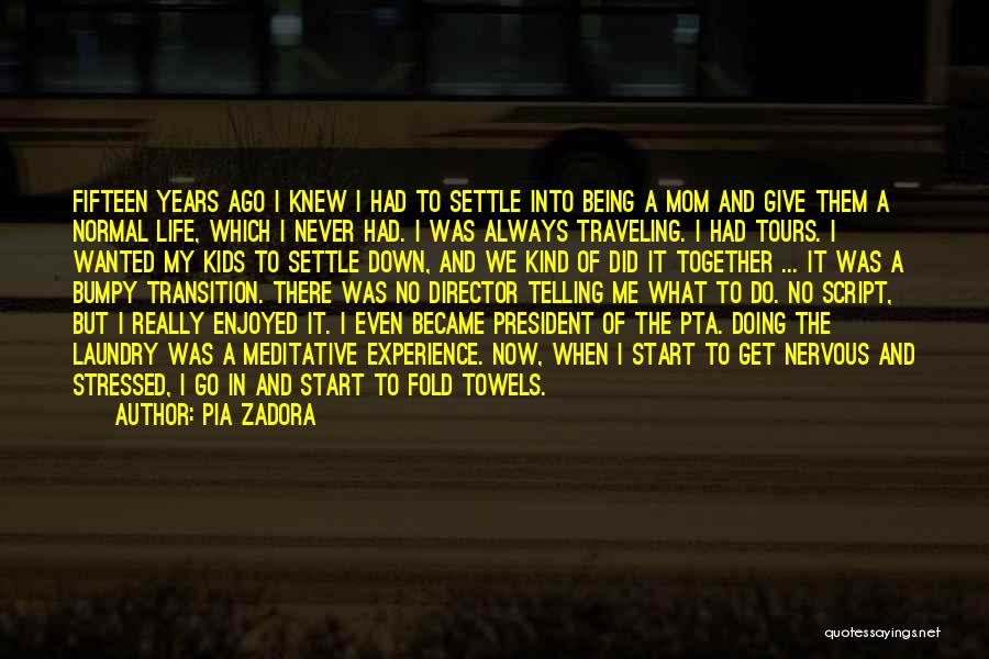 Doing My Laundry Quotes By Pia Zadora