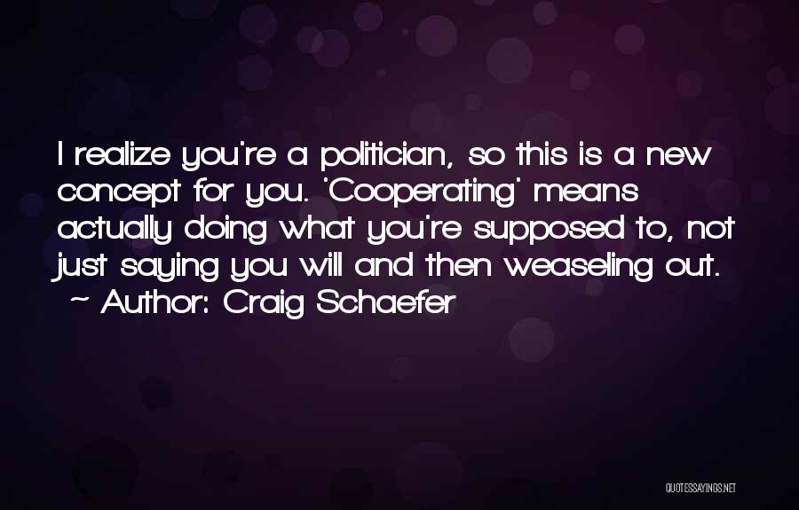 Doing Not Just Saying Quotes By Craig Schaefer