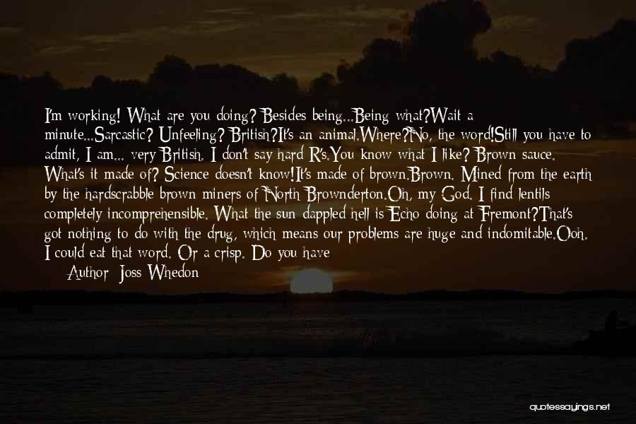 Doing Nothing Is Very Hard To Do Quotes By Joss Whedon