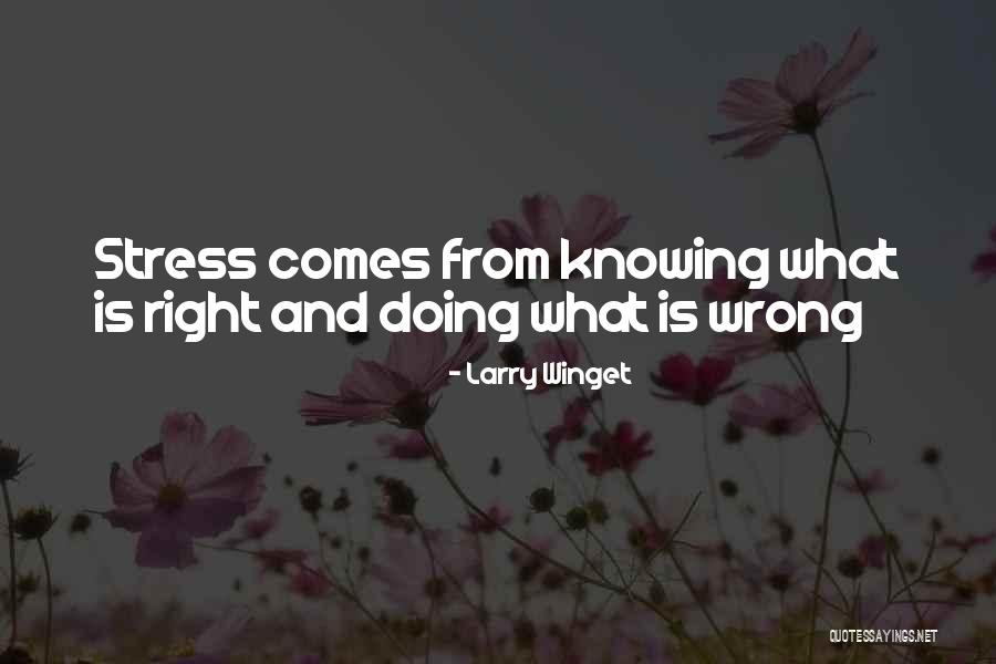 Doing Right And Wrong Quotes By Larry Winget