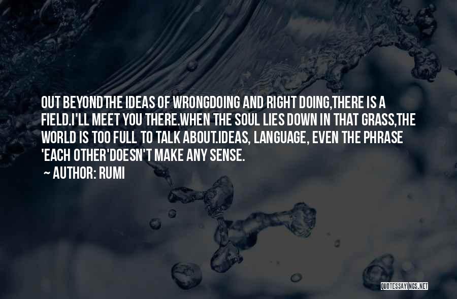 Doing Right Quotes By Rumi