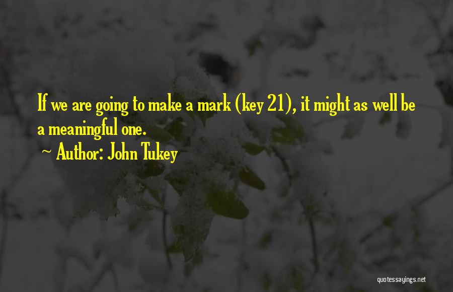 Doing Something Meaningful Quotes By John Tukey