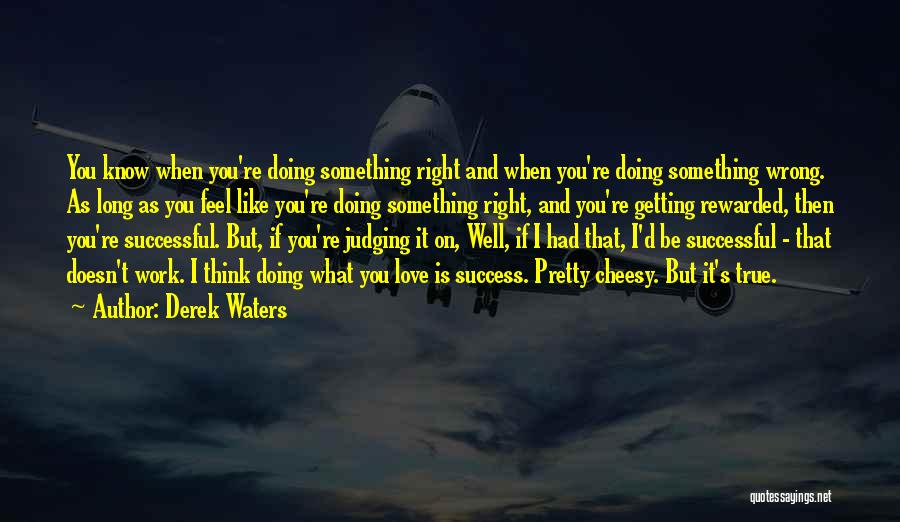 Doing Something Well Quotes By Derek Waters