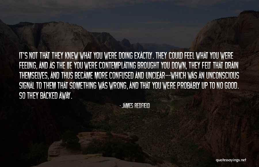 Doing Something Wrong Quotes By James Redfield