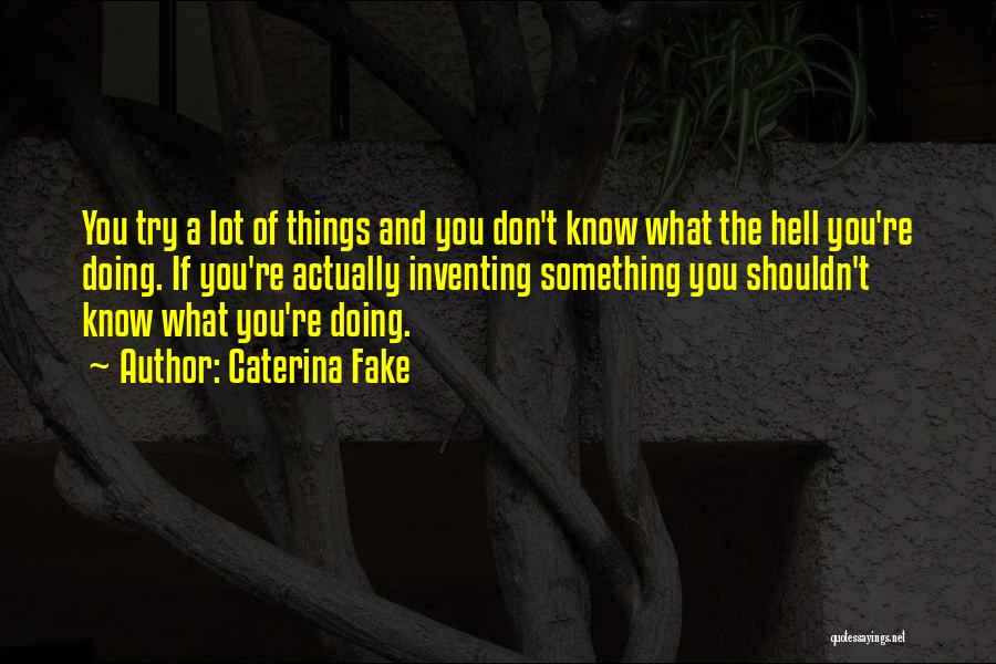 Doing Something You Shouldn't Quotes By Caterina Fake