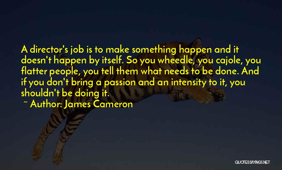 Doing Something You Shouldn't Quotes By James Cameron