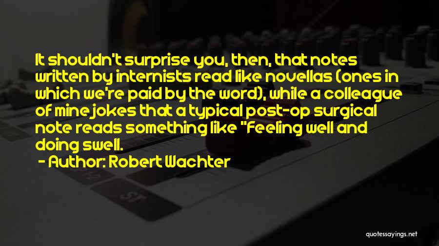 Doing Something You Shouldn't Quotes By Robert Wachter