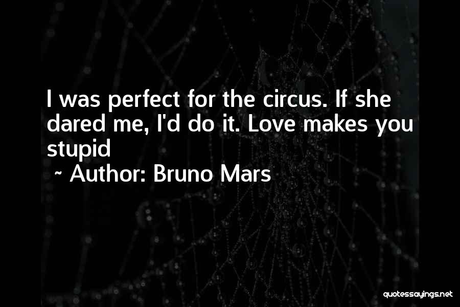 Doing Stupid Things For Love Quotes By Bruno Mars