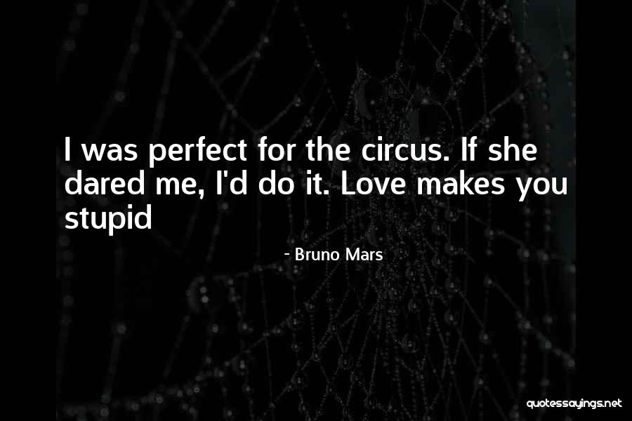 Doing Stupid Things For Love Quotes By Bruno Mars