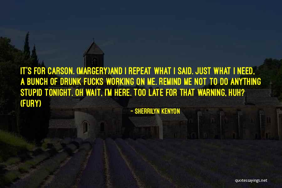 Doing Stupid Things When Drunk Quotes By Sherrilyn Kenyon Doing Stupid Things When Drunk Quotes By Sherrilyn Kenyon