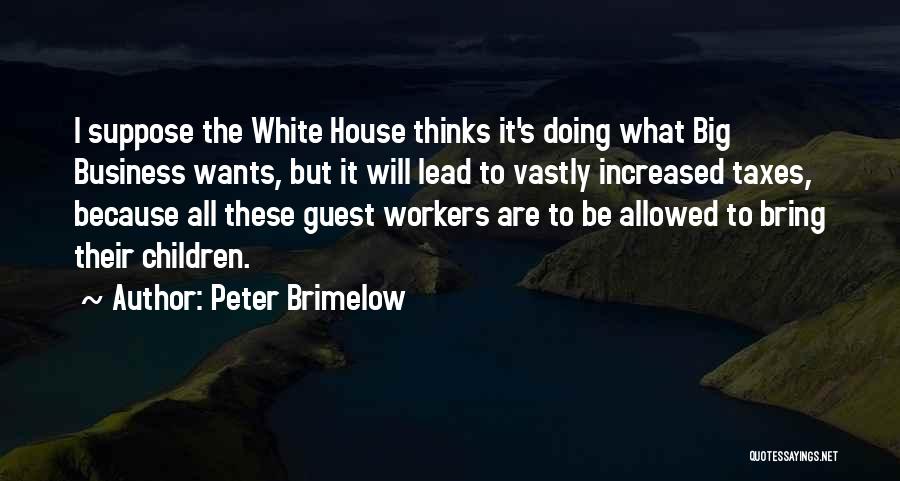 Doing Taxes Quotes By Peter Brimelow