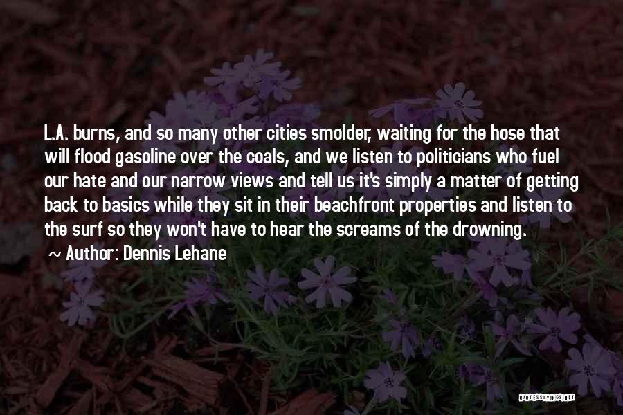 Doing The Basics Quotes By Dennis Lehane