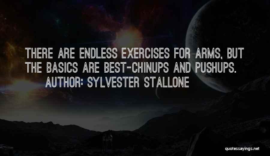 Doing The Basics Quotes By Sylvester Stallone