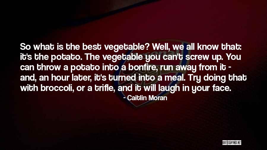 Doing The Best We Can Quotes By Caitlin Moran Doing The Best We Can Quotes By Caitlin Moran