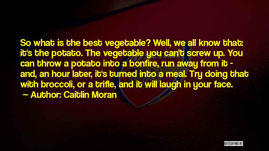 Doing The Best You Can Quotes By Caitlin Moran