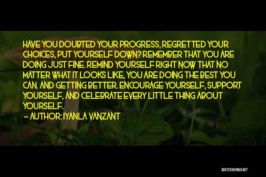 Doing The Best You Can Quotes By Iyanla Vanzant