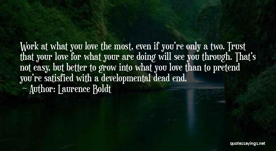 Doing The Work You Love Quotes By Laurence Boldt