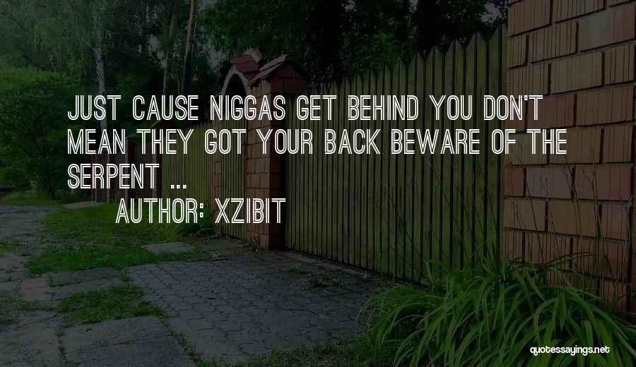 Doing Things Behind Your Back Quotes By Xzibit