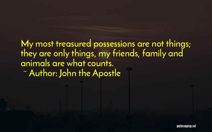 Doing Things For Your Family Quotes By John The Apostle