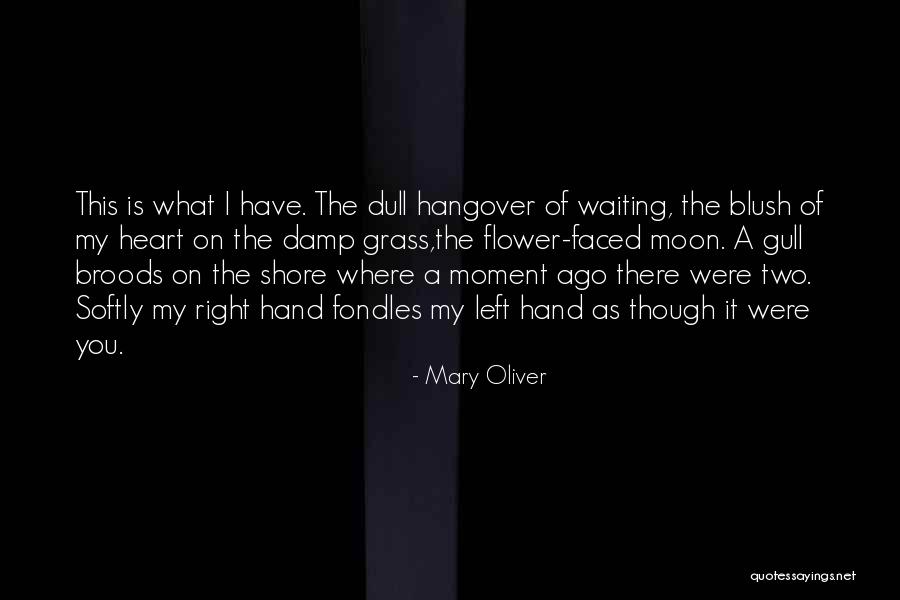 Doing Things From The Heart Quotes By Mary Oliver