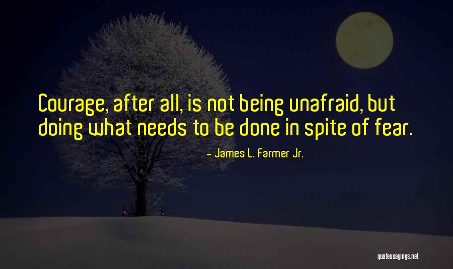 Doing What Needs To Be Done Quotes By James L. Farmer Jr. Doing What Needs To Be Done Quotes By James L. Farmer Jr.