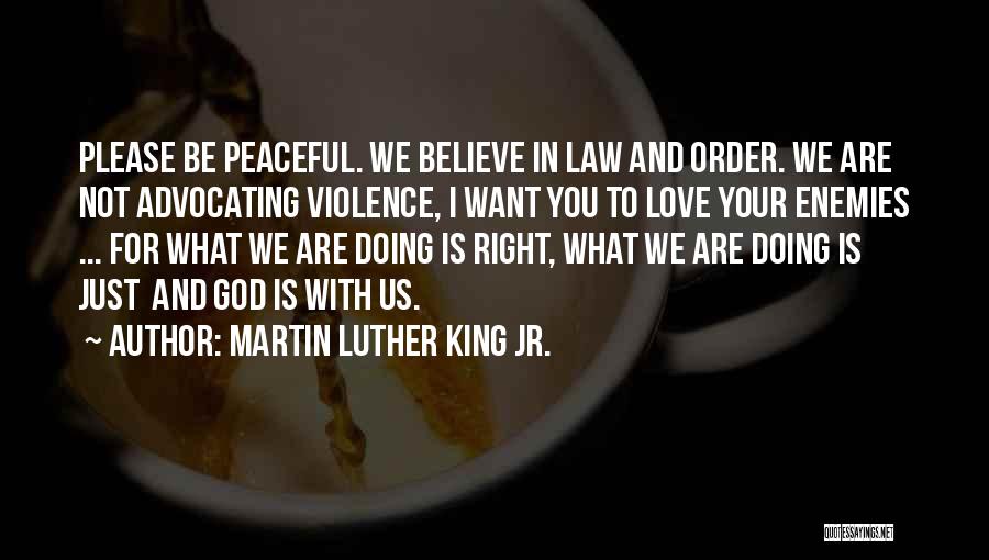 Doing What We Love Quotes By Martin Luther King Jr.