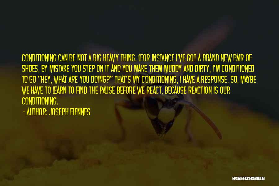 Doing What You Can Quotes By Joseph Fiennes